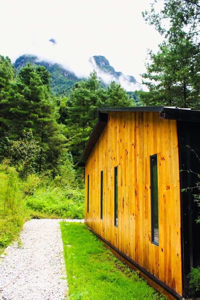 Photo showing Jungle Hiking experience