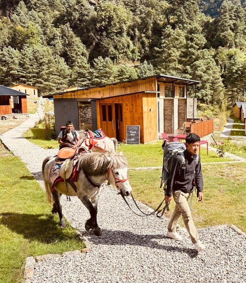 Photo showing Horse Riding experience