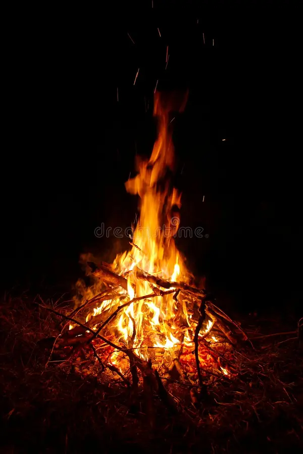 Photo showing Camp Fire experience